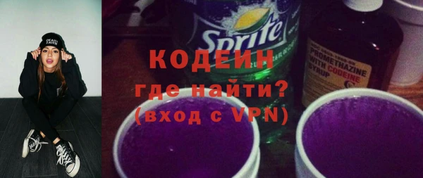 прущие грибы Корсаков