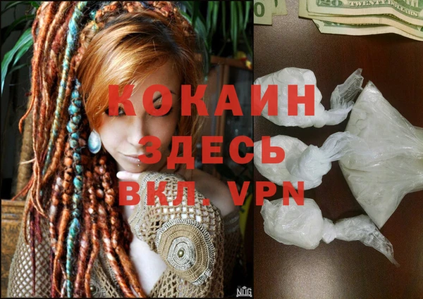 прущие грибы Корсаков