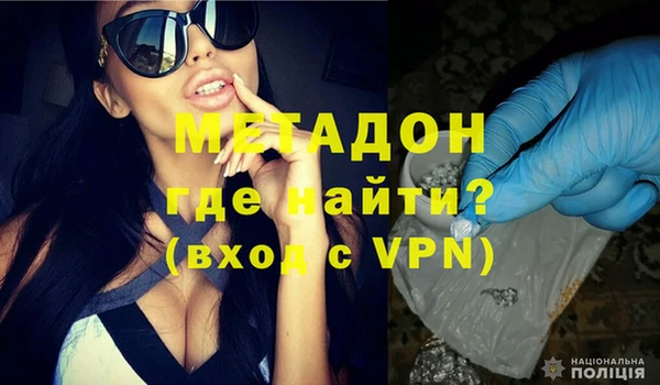 прущие грибы Корсаков