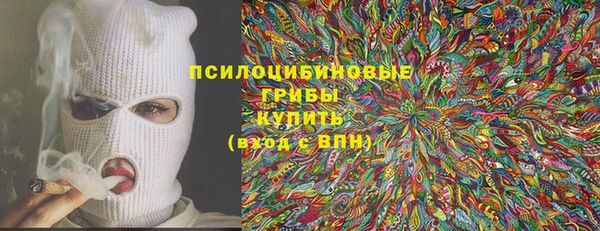 прущие грибы Корсаков