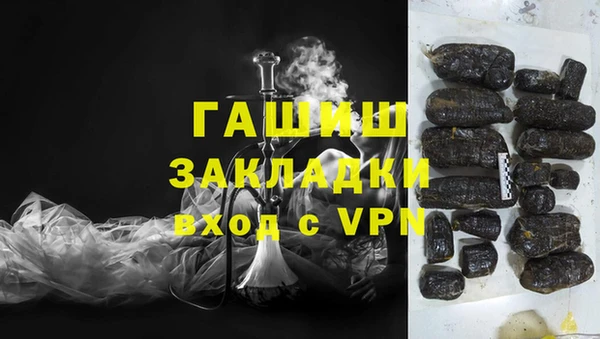 прущие грибы Корсаков