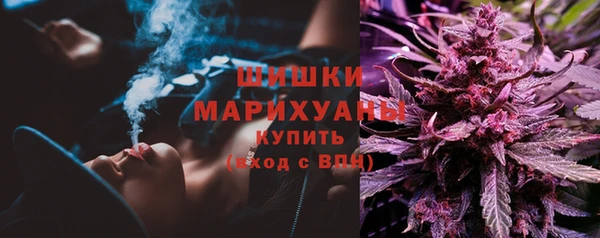 прущие грибы Корсаков