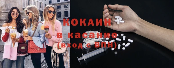 прущие грибы Корсаков